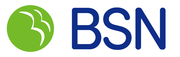 BSN Group